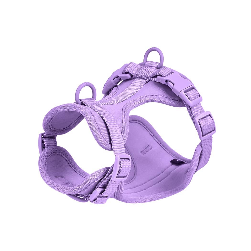 A Purple Harness