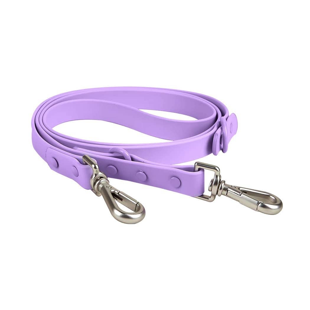 A Purple Dog Leash