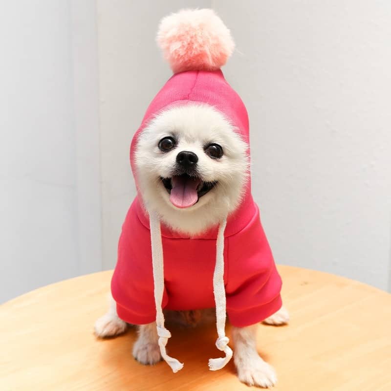 Cute Fruit Dog Clothes for Small Dogs hoodies Warm Fleece Pet Clothing Puppy Cat Costume Coat for French Chihuahua Jacket Suit